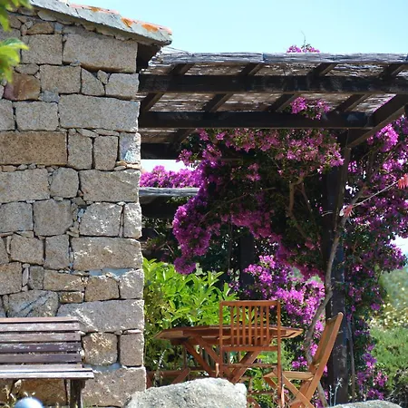Dom wakacyjny Alba Rossa Serra-di-Ferro (Corsica)