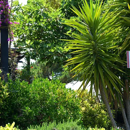 Σπίτι διακοπών Alba Rossa Serra-di-Ferro (Corsica)